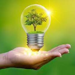 Policy Energy Conservation